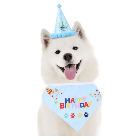 Dog Birthday Hat and Bandana Set