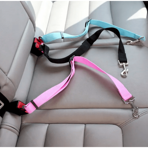 Dog Seat Belt for the Car