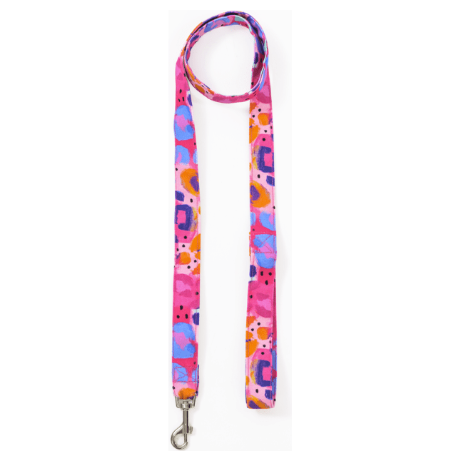 Rainbow Leopard - Pet Leashes