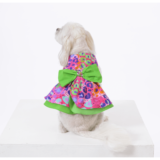 Rainbow Leopard Dog Harness Dress