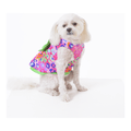 Rainbow Leopard Dog Harness Dress