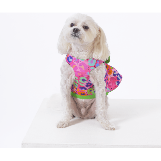 Rainbow Leopard Dog Harness Dress