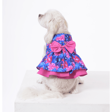 Blue Rhapsody - Small Dog Harness - Dog Dress