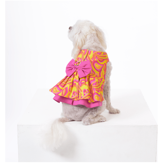 Groovy Baby - Small Dog Harness - Dog Dress