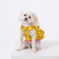 Hello Rubber Ducky Dog Harness Dress