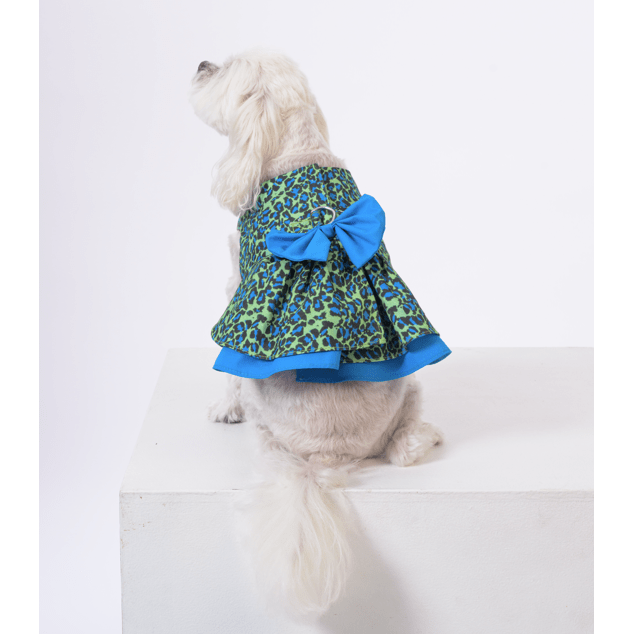 Jungle Skies - Small Dog Harness - Dog Dress