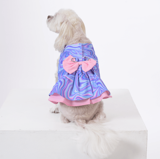 Psychedelic Dreams - Small Dog Harness - Dog Dress