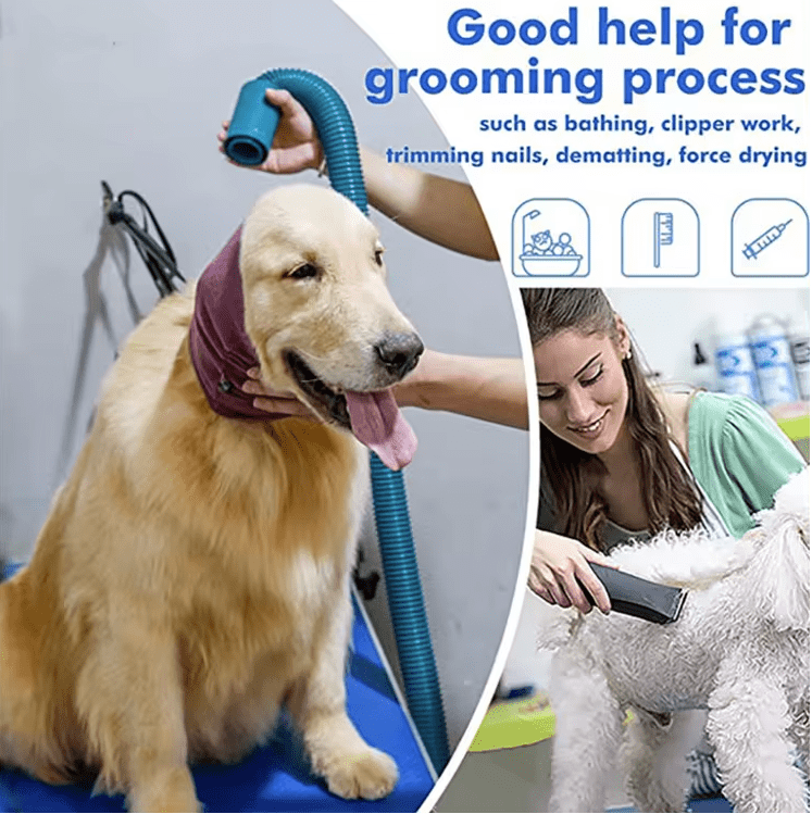 Noise Protection, Stress & Anxiety Relief for Dogs