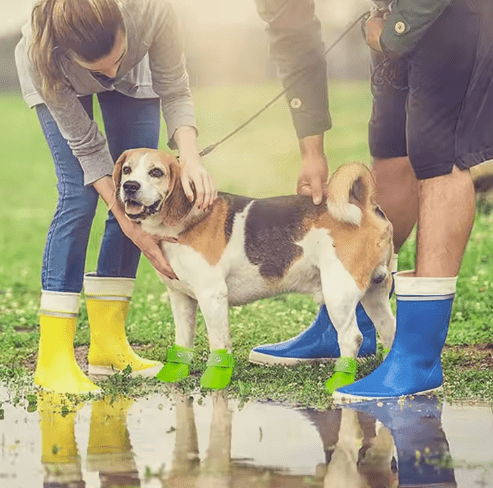 Nonslip Rain Boots for Dogs