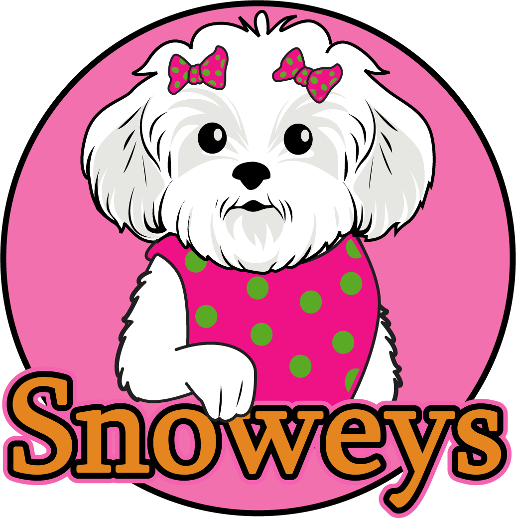 Snoweys Closet - Small Dog Harness Dresses