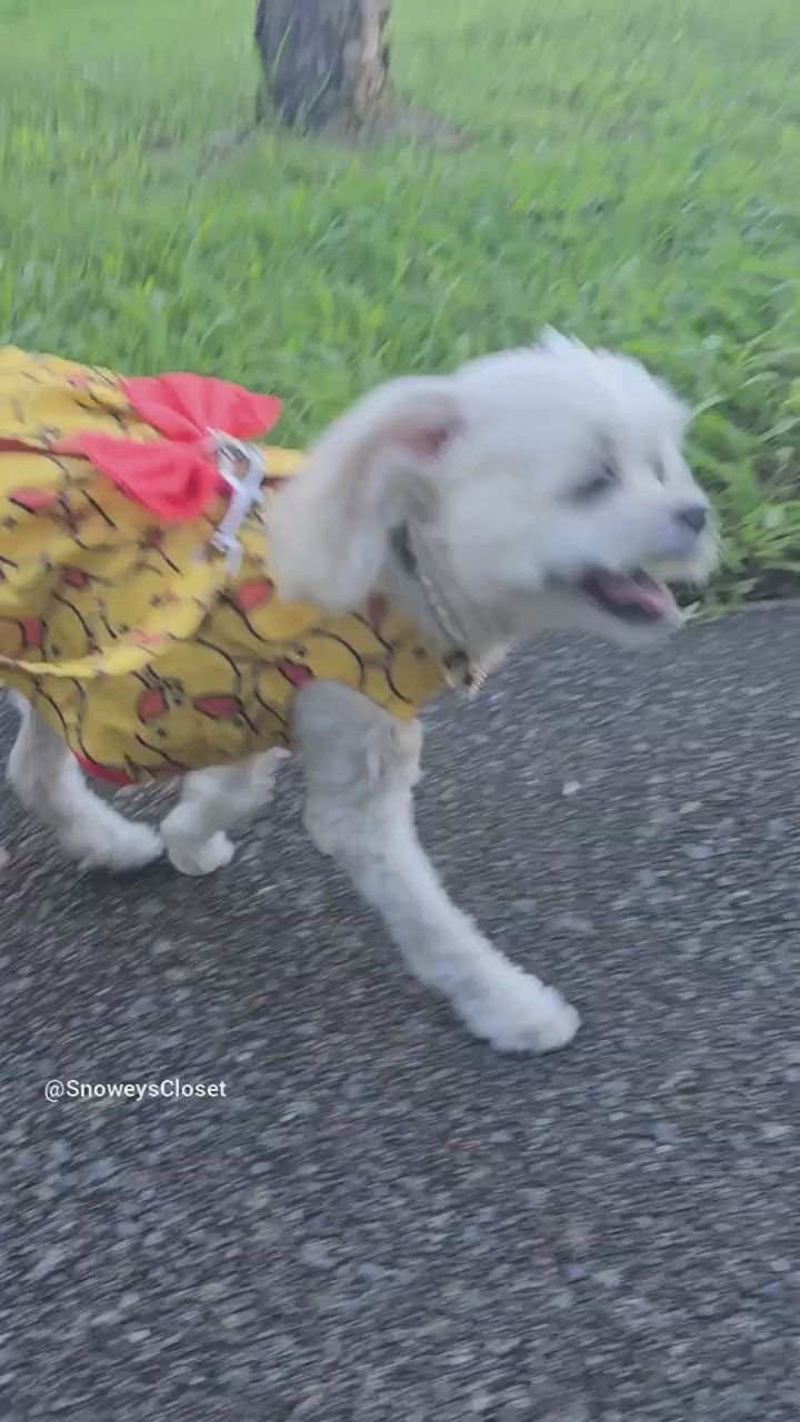 Hello Rubber Ducky Dog Harness Dress