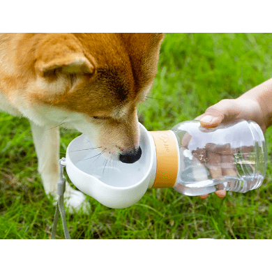 Snoweys 2 in 1 Dog Water Bottle - Portable for Travel