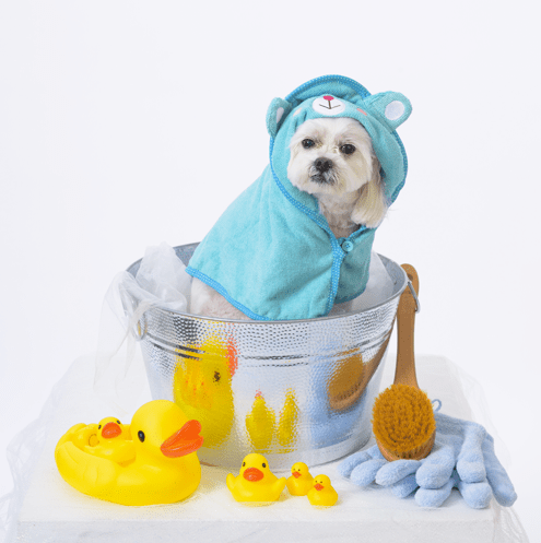 Snoweys Bathing Absorbent Microfiber Dog Towel