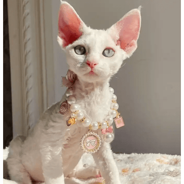 Snoweys Designer Cat Dog Pearl Pet Collar Jewellery Necklace