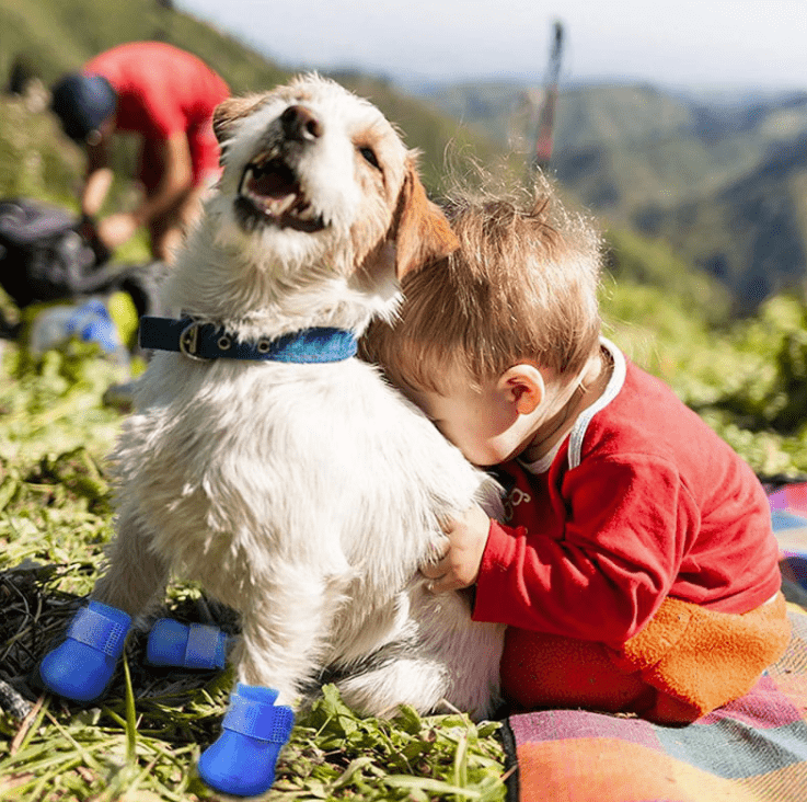 Snoweys Dog Pet Shoes Nonslip Rain Boots for Dogs