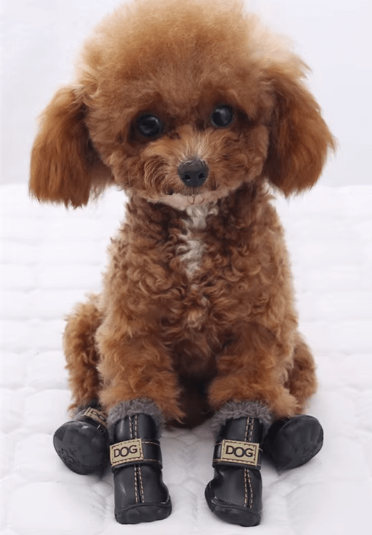 Snoweys Dog Pet Shoes Winter Waterproof Fur Lined Snow Boots