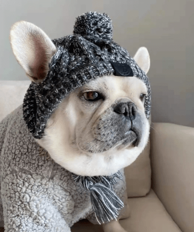 Snoweys Grey Knitted Winter Dog Beanie - Dog Hat