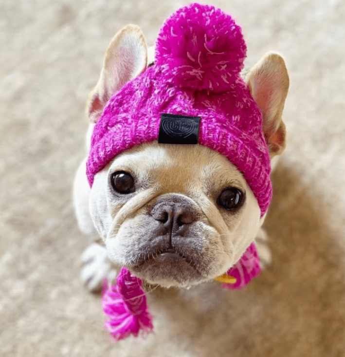 Snoweys Grey Knitted Winter Dog Beanie - Dog Hat