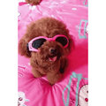 Snoweys Sunglasses goggles Pink / Small Sunglasses for Dogs - Dog Sunglasses Goggles