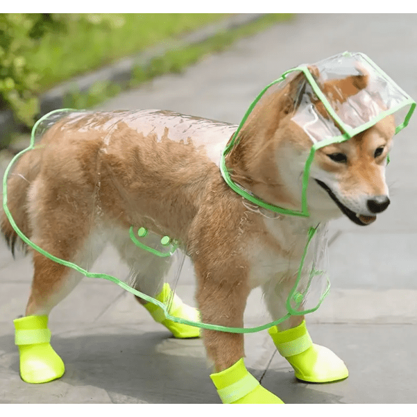 Snoweys Transparent Dog Rain Coats