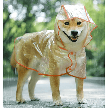 Snoweys Transparent Dog Rain Coats