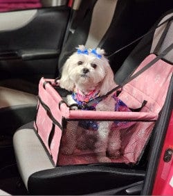 Foldable Waterproof Dog Car Seat - Suitable Small Dog Car Seat